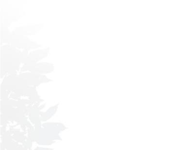 7381531be75f7e48