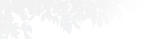 e1b49d8329dd8477