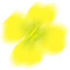 0a1d8c1f1d058dba